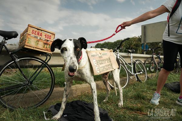 bicicleteada desde el Monumento Nacional a la Bandera hacia la entrada en el puente Rosario-Victoria