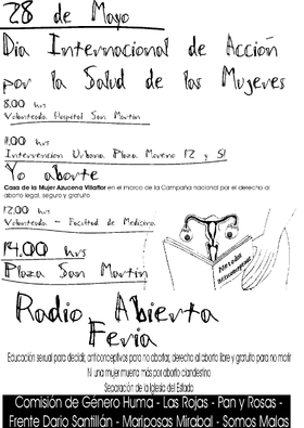 Volante de la actividad del 28/05/2007