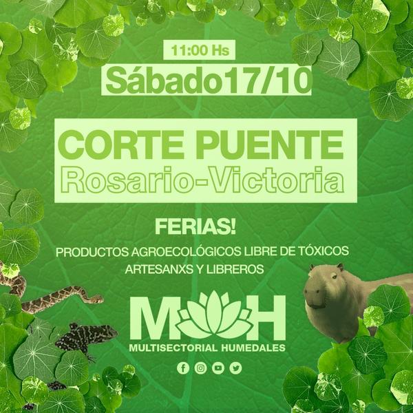 Nuevamente nos encontramos en el puente!